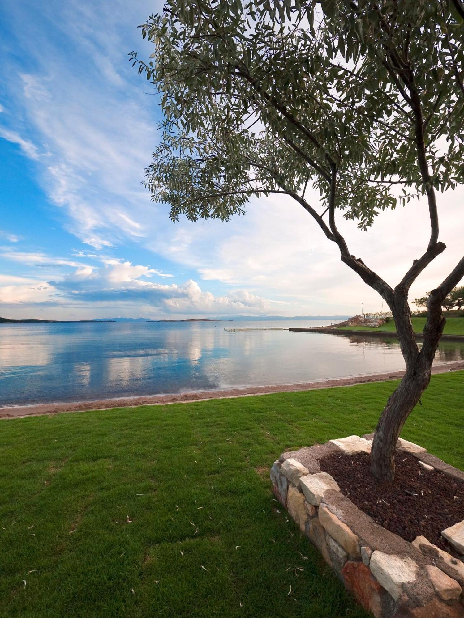 Ortunc Hotel - Cunda Island (Adults Only) Айвалик Екстер'єр фото